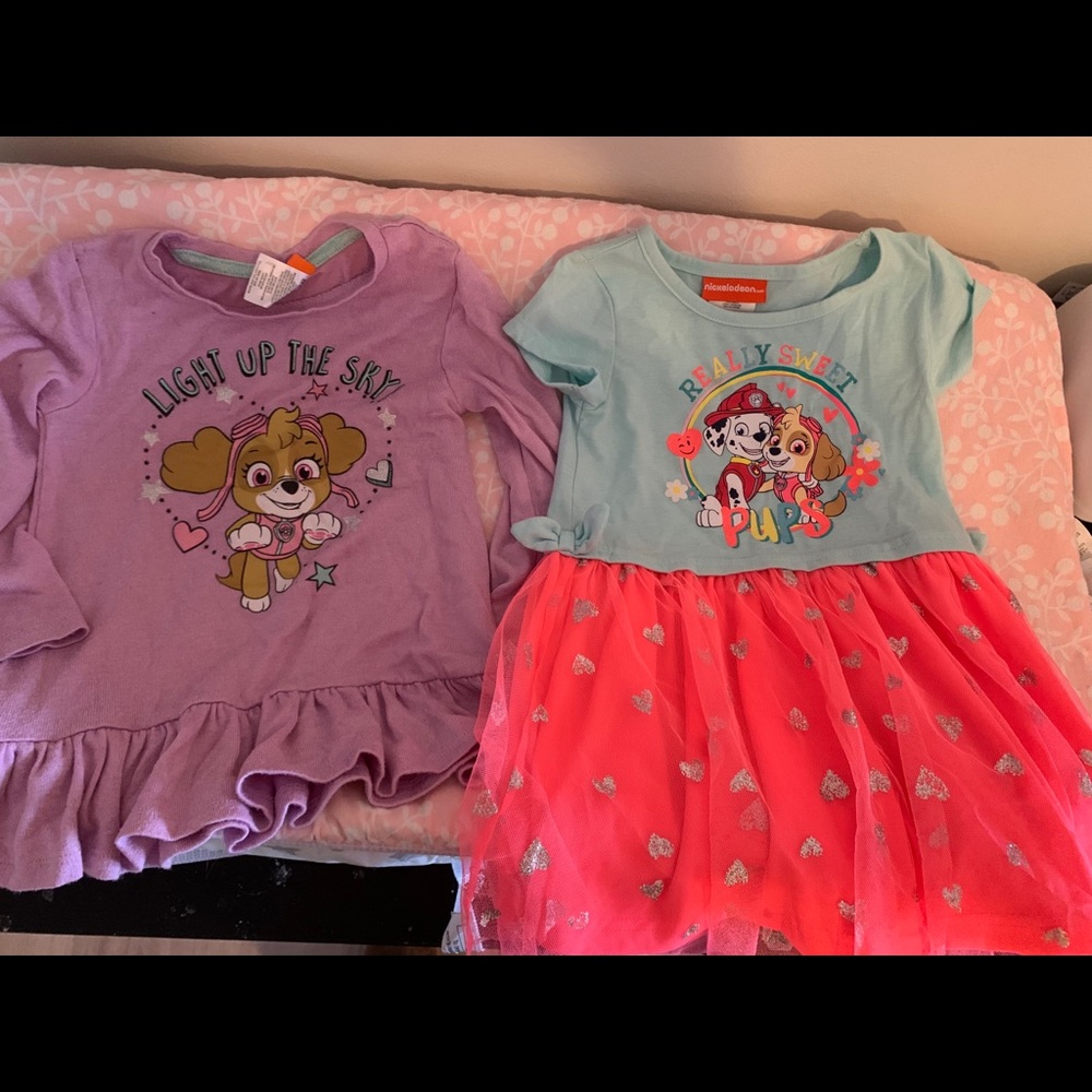 Paw patrol